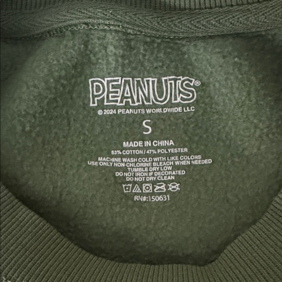 Peanuts Green Sweatshirt with Snoopy and Woodstock - Picture 7 of 7